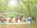 Tn PPTC 308